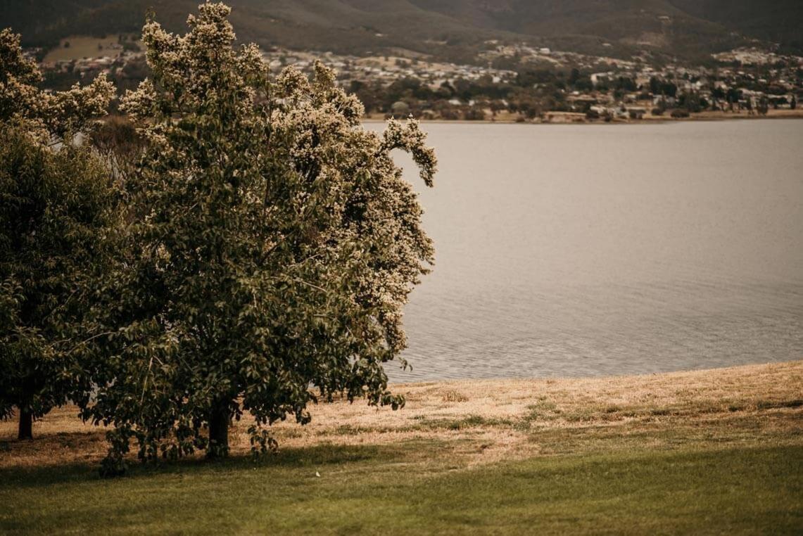 Otago Cottage Χόμπαρτ Εξωτερικό φωτογραφία